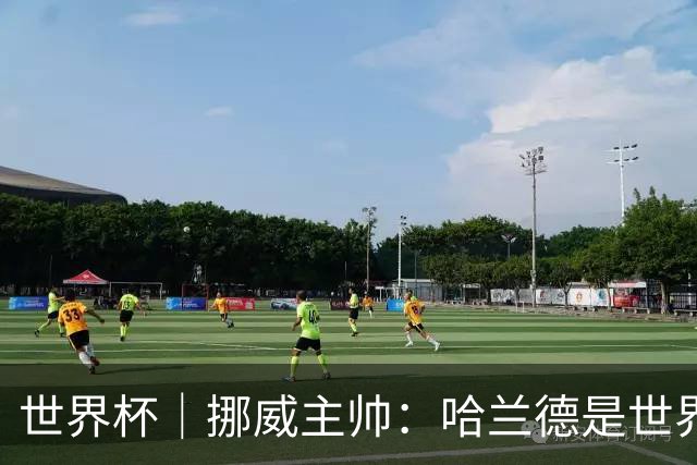 世界杯｜挪威主帅：哈兰德是世界上最好的射手