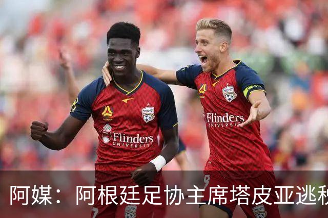 阿媒：阿根廷足协主席塔皮亚逃税上诉被驳回，确认将被起诉